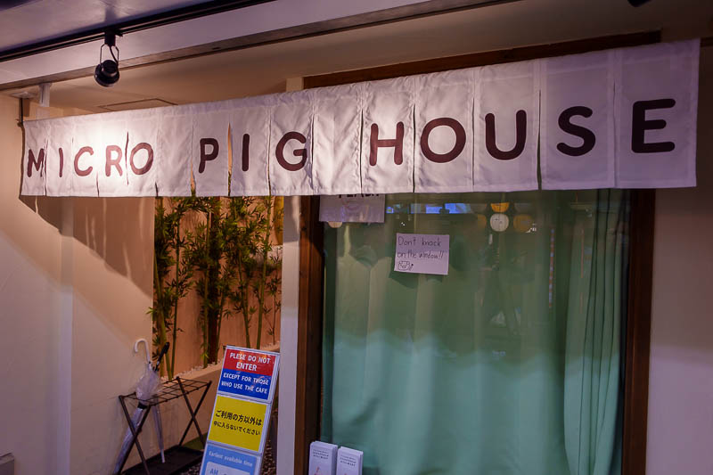 Japan-Kyoto-Omurice - Although from the entrance I did spot this place. And there is no other way to end the photos for tonight than with the micro pig house.