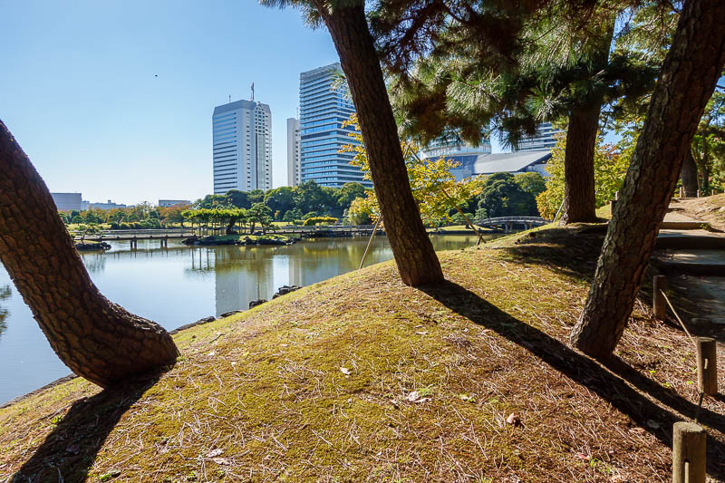 Japan-Tokyo-Garden - Great weather today, tricky light for this crappy cameras low dynamic range. Nice bridges.