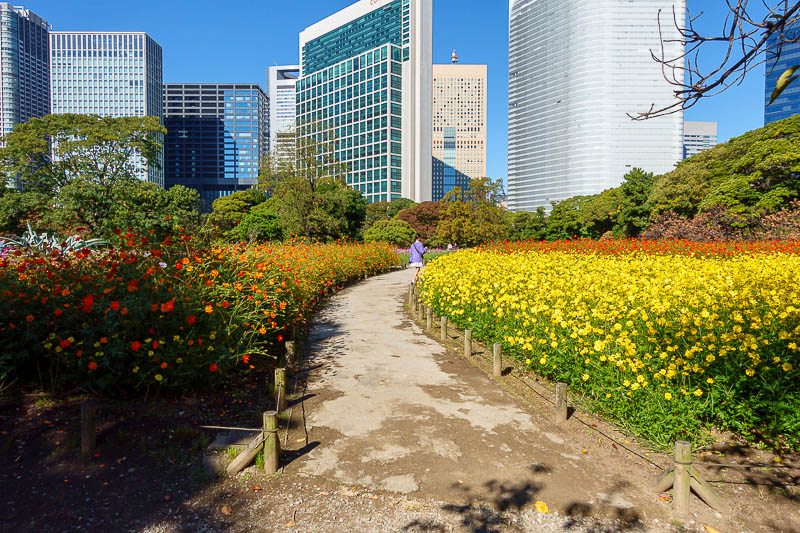 Japan-Tokyo-Garden - The flower garden was in the process of being replanted, it is generally much larger, but still large enough for me to make it look large in this phot