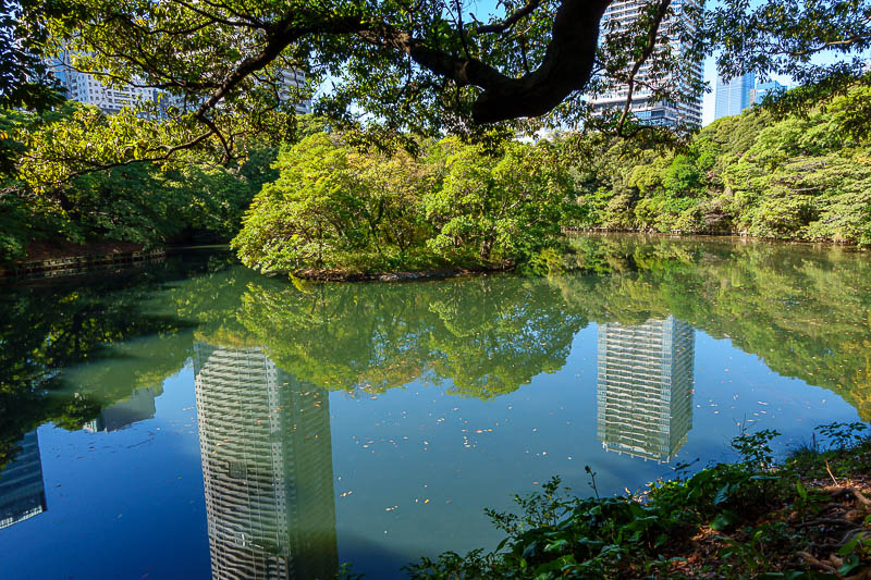Japan-Tokyo-Garden - I reflected on the tragic loss of millions of dead ducks by staring at the reflections of these buildings.