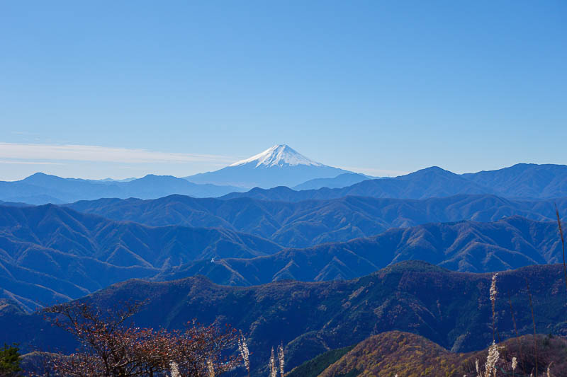 Japan-Tokyo-Hiking-Mount Takanosu - I used my zoom to zoom in on it for a special treat.