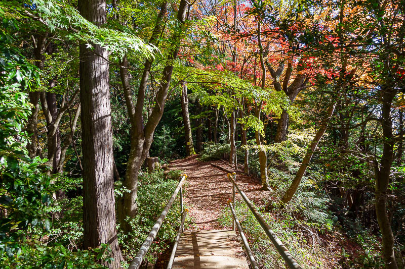 Japan-Tokyo-Hiking-Mount Takamizu - As mentioned, the area around the shrine with nice trees.