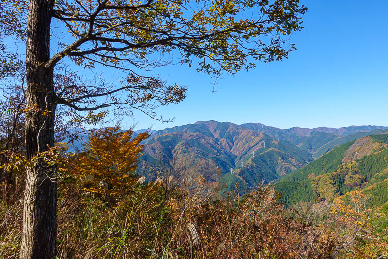 Japan-Tokyo-Hiking-Mount Takamizu - A bit more view.