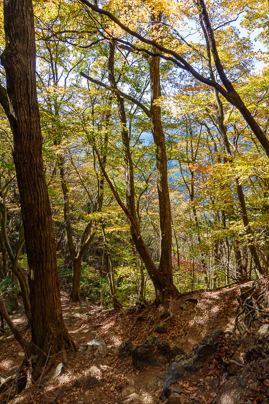 Japan-Tokyo-Hiking-Mount Takamizu - More leaf colour.