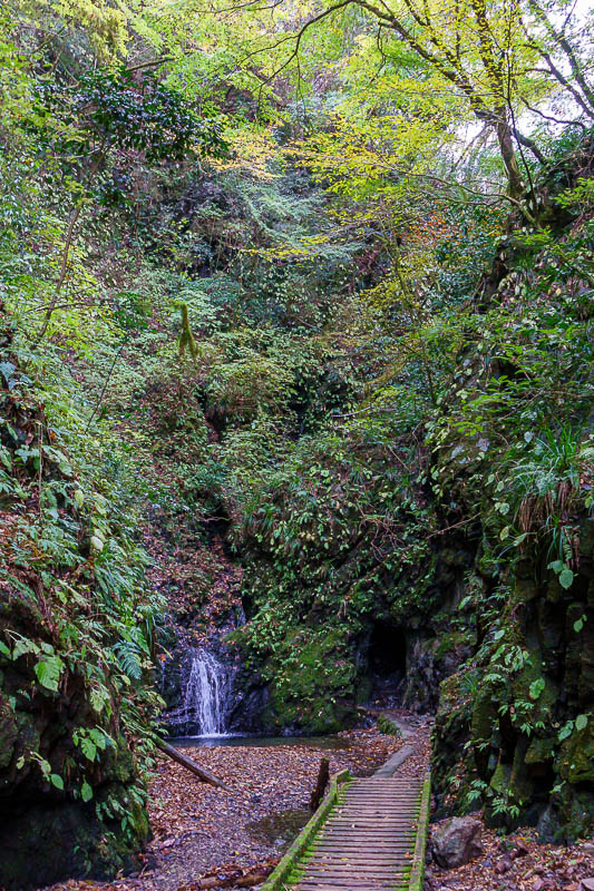 Japan-Tokyo-Hiking-Mount Kariyose - A tiny waterfall, but I had it to myself, and it was dark and spooky.