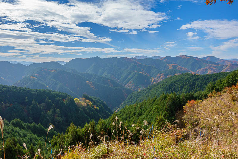 Japan-Tokyo-Hiking-Mount Kariyose - Just around the corner, logging areas provided the view.