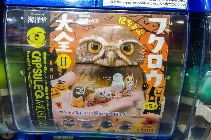 Japan 2015 - Tokyo - Nagoya - Hiroshima - Shimonoseki - Fukuoka - Or a family of owls.
