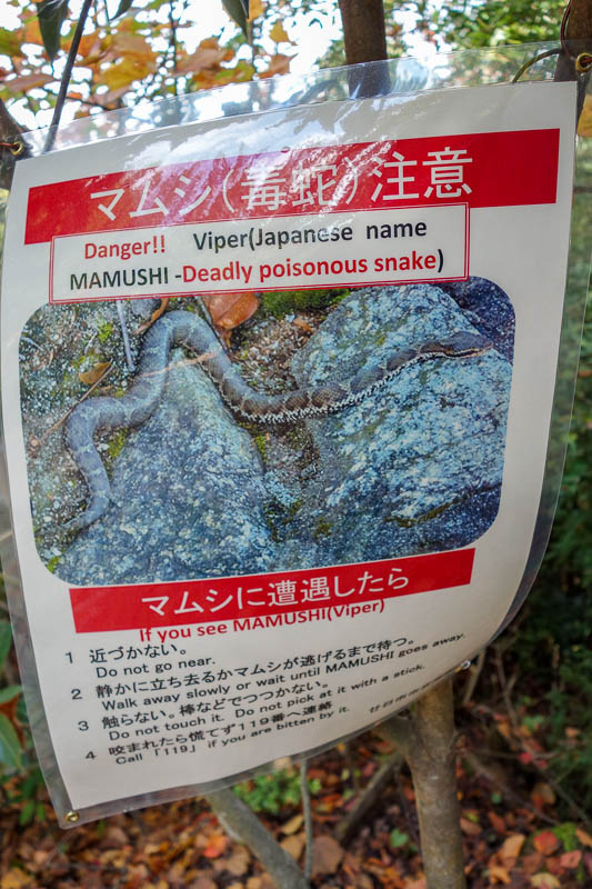 Japan 2015 - Tokyo - Nagoya - Hiroshima - Shimonoseki - Fukuoka - Deadly snake warning! I have been wandering around the mountains not even on trails with gay abandon.