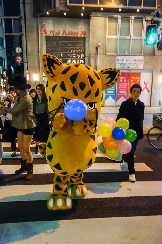 Japan-Hiroshima-Illumination-Food-Pasta - This cat attacked me with a balloon as I crossed the road.