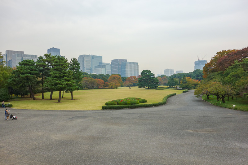 Japan-Tokyo-Akihabara-Garden - The gardens are quite bare, and look a bit plain with the glay sky of today.