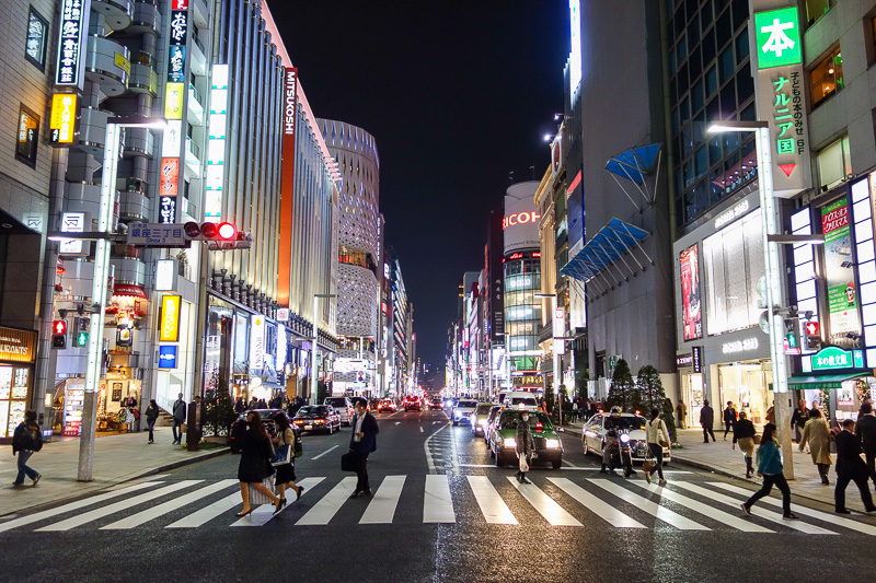 Japan-Tokyo-Ginza-Shopping Street - OMG so shiny, so vertical.