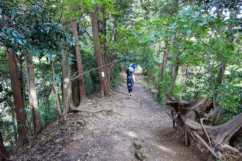 Japan-Kamakura-Hiking-Kenchoji - Very busy, but mostly flat trail.