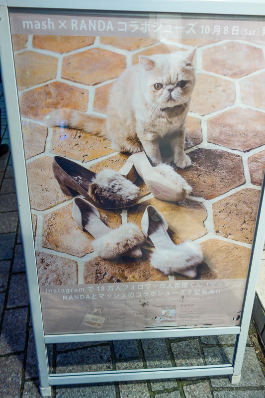 Visiting 9 cities in Japan - Oct and Nov 2016 - Between annexes of the button store, I spotted a store thats making shoes out of actual cat fur.