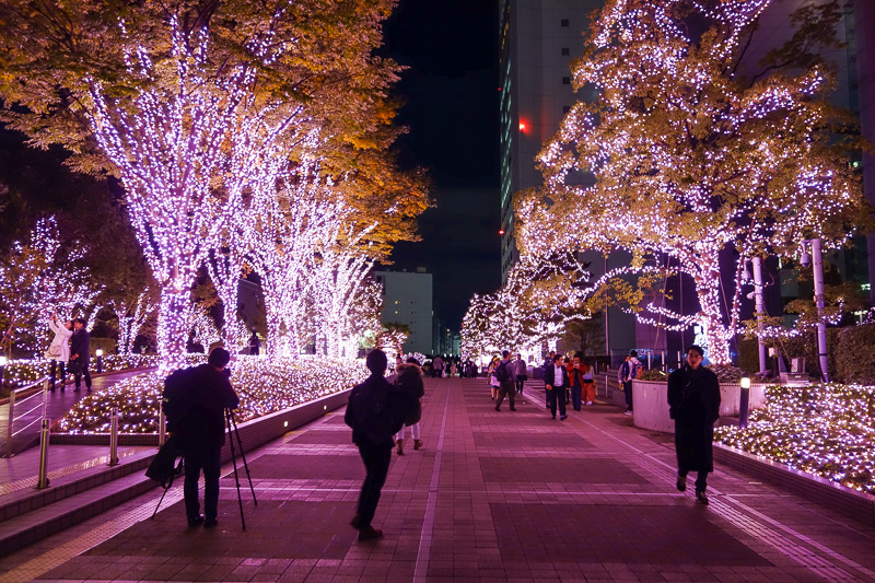Visiting 9 cities in Japan - Oct and Nov 2016 - And the last photo for tonight, avenue of pink lights for no apparent reason.