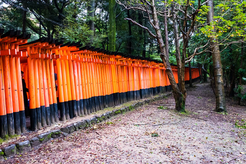 Japan-Kyoto-Fushimi Inari-Shrine-Rain - OK, some people were just going into this bit, and thats all, about one hundred metres from the station. This meant they were standing in there with u