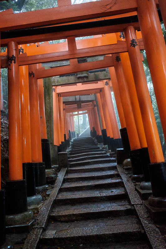 Japan-Kyoto-Fushimi Inari-Shrine-Rain - Fog! I was hoping for fog, I wanted really dense fog, I dont think I will get it. However I also noted that the whole path is lit, you can go up here 