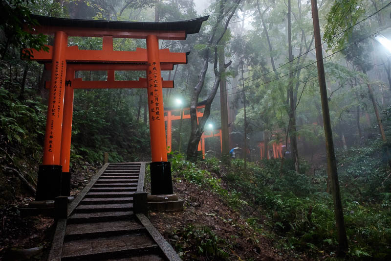 Japan-Kyoto-Fushimi Inari-Shrine-Rain - More fog. Might be PICTURE OF THE DAY! The lighting is good, makes the fog look better, but the wires are really annoying, I started to notice them mo