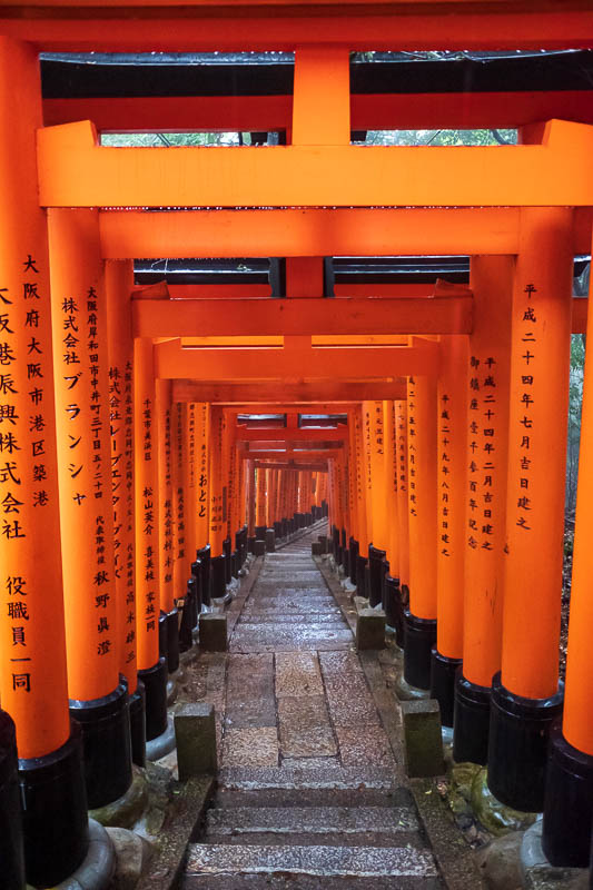 Japan-Kyoto-Fushimi Inari-Shrine-Rain - OK last one, very redundant, but its here.