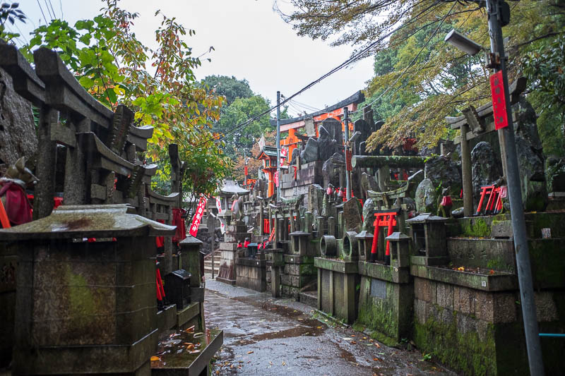 Japan-Kyoto-Fushimi Inari-Shrine-Rain - Donkey shrine, more wires.
