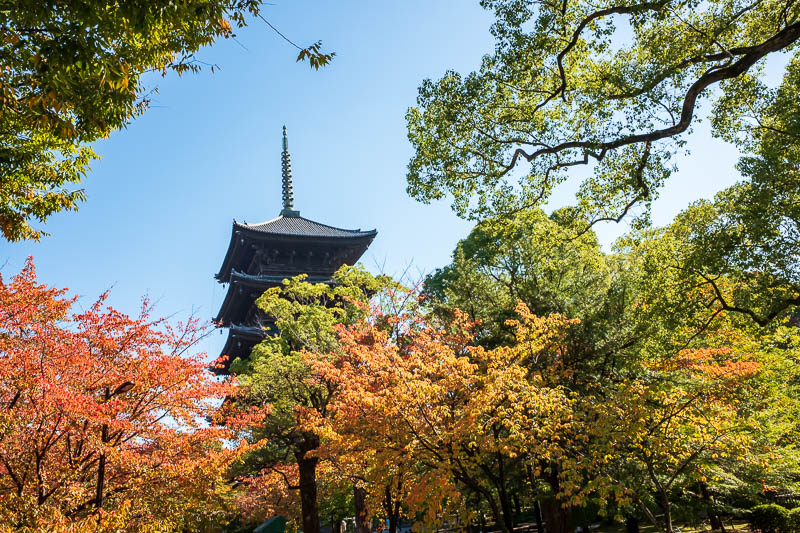 Back to Japan for even more - Oct and Nov 2017 - A bit more of the Toji pagoda, I snuck around the back but the militant orange/brown robe army was in pursuit.