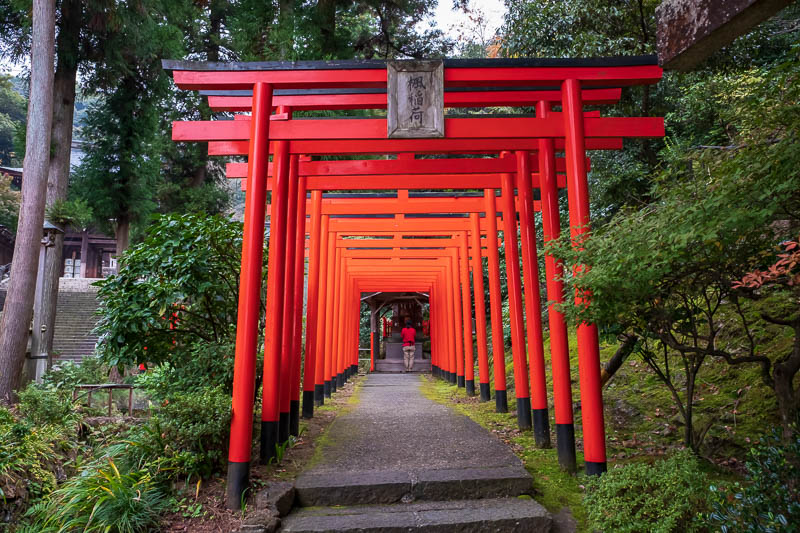 Japan-Gifu-Rain-Fog-Castle-Garden - They have decided to try and compete with Kyoto with the red gate tunnel. Weak effort, try a different color, be unique.