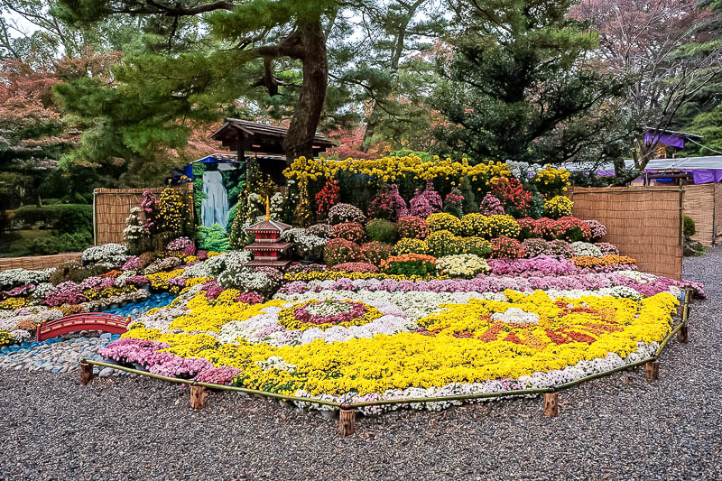 Back to Japan for even more - Oct and Nov 2017 - Also, like all of Japan at this time of year, the flower show. This one has a mini pagoda and bridge as part of the display.