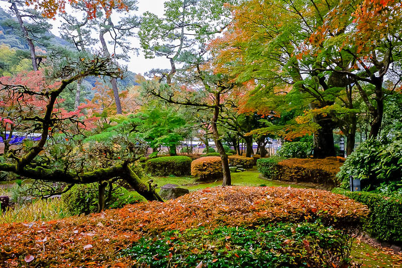 Japan-Gifu-Rain-Fog-Castle-Garden - The garden was large and colorful. I did not explore it all.