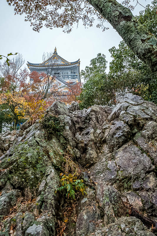 Japan-Gifu-Rain-Fog-Castle-Garden - As far as I can tell, this is only one of two spots to take a photo of the castle. You will see the other later.