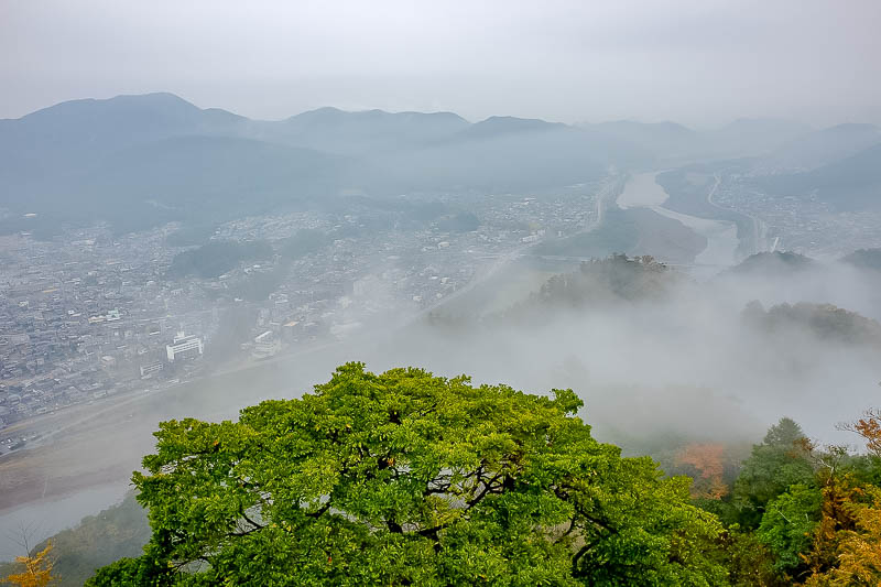 Japan-Gifu-Rain-Fog-Castle-Garden - More fog, and the cities famous river. I know its famous, the station has an information board telling me the city is famous for the river and the cas