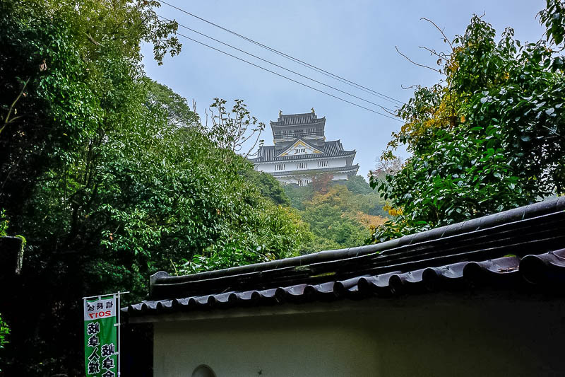 Japan-Gifu-Rain-Fog-Castle-Garden - This is the other castle view, you have to stand in the entry of the ladies toilets. Nice power wires again.....