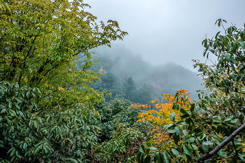 Japan-Gifu-Rain-Fog-Castle-Garden - It remained foggy my whole descent, which I enjoyed.