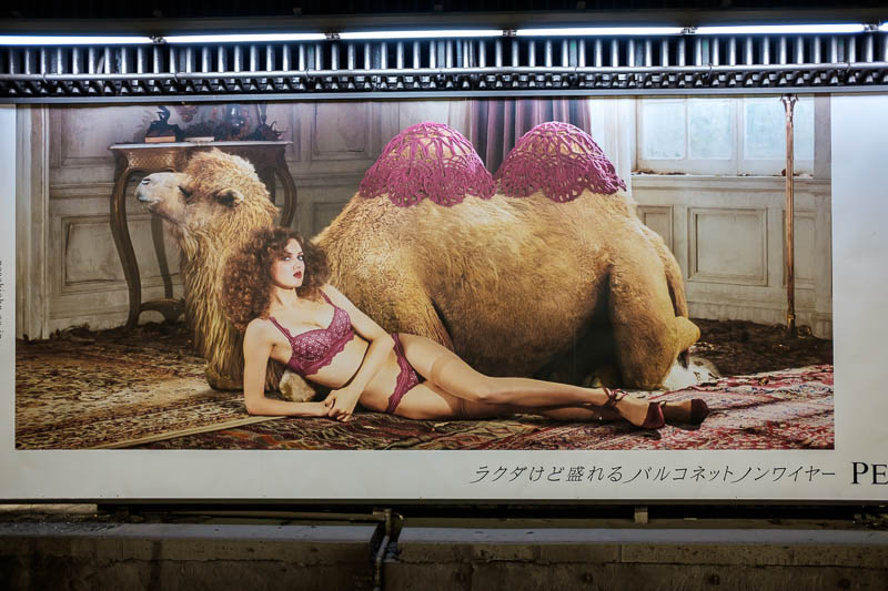 Japan-Tokyo-Shibuya-Shopping Street-Ramen - My humps, my humps, my lovely camel lumps.