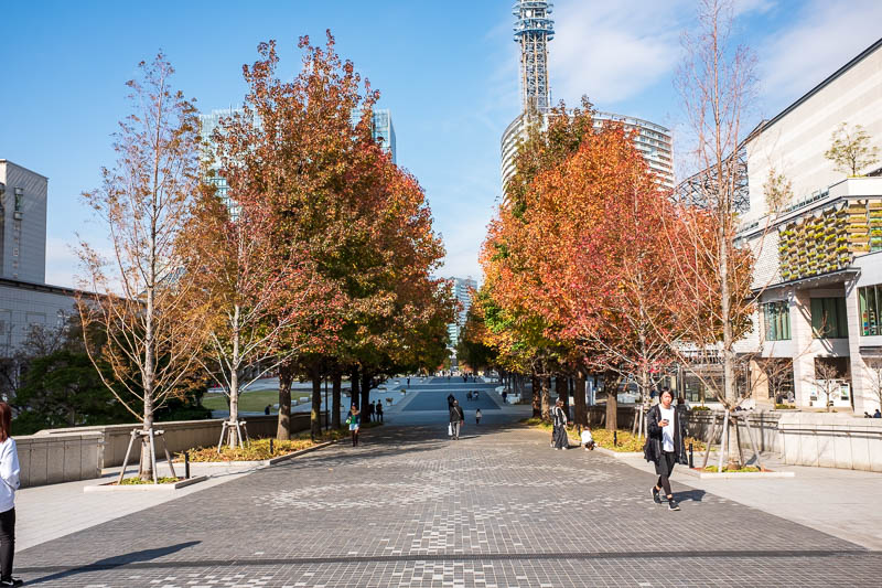 Back to Japan for even more - Oct and Nov 2017 - This long avenue of colorful trees leads to the Nissan car company global HQ. I had read you could go in and see every old car they ever made on displ