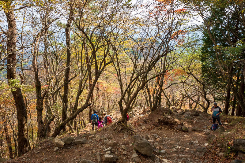 Japan-Hiking-Mount Tanzawa-Shibusawa - A bit more color on the way down.