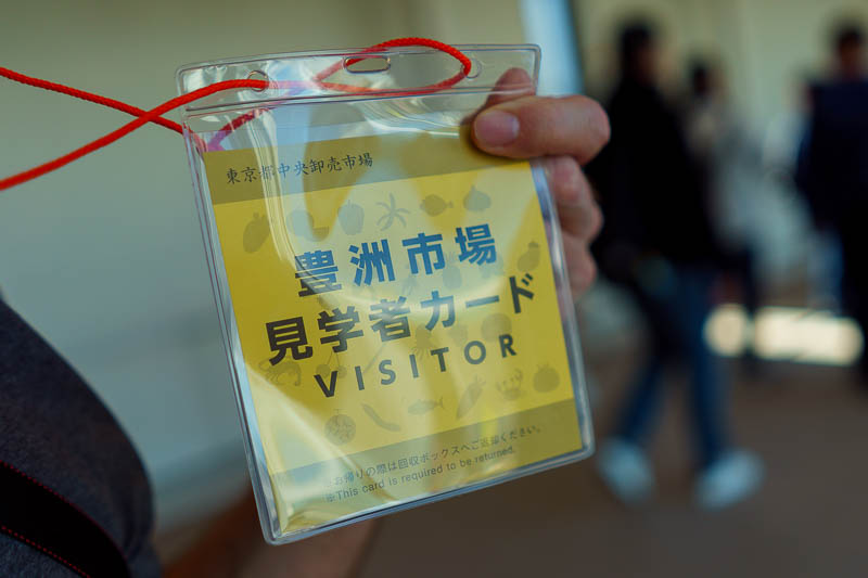 Japan-Tokyo-Tsukiji-Toyosu - You have to wear this visitor pass to identify you as someone not allowed to go into the market. This is Japanese thinking at its finest. The regular 