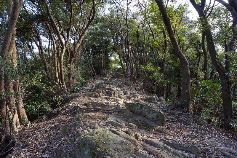 Japan-Chiba-Hiking-Mount Nokogiri - Time to get climbing. I had meticulously planned a path to take me up a remote way to the top of Mount Nokogiri. It did not go to plan and I got lost 