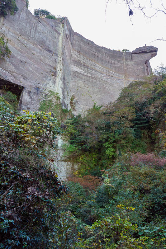 Japan-Chiba-Hiking-Mount Nokogiri - This whole place used to be a quarry, right up until 1980. I dont understand how they cut the huge cubes of stone out of the cliff face using just a h