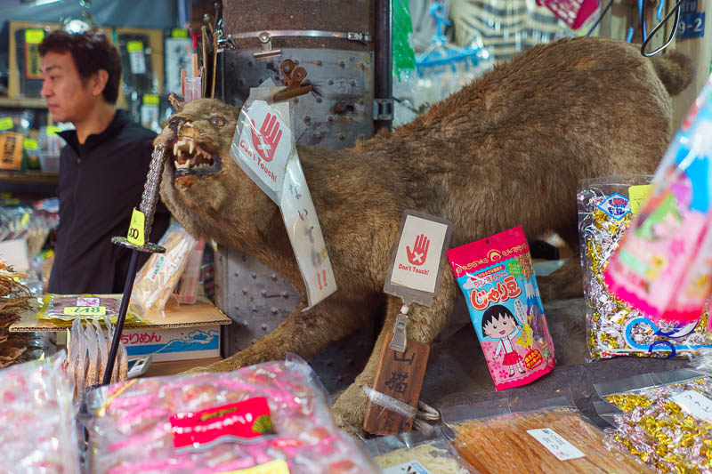 Japan-Tokyo-Tsukiji-Toyosu - Anyway, heres the old fish market at Tsukiji. First up we have this cool cat they shot and stuffed to guard the fake crab meat wrapped in plastic.