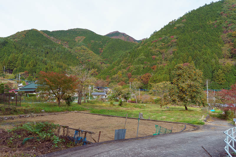 Japan-Hiking-Sasago-Seihachiyama - It was still quite cloudy, resulting in muted colors, that would change.