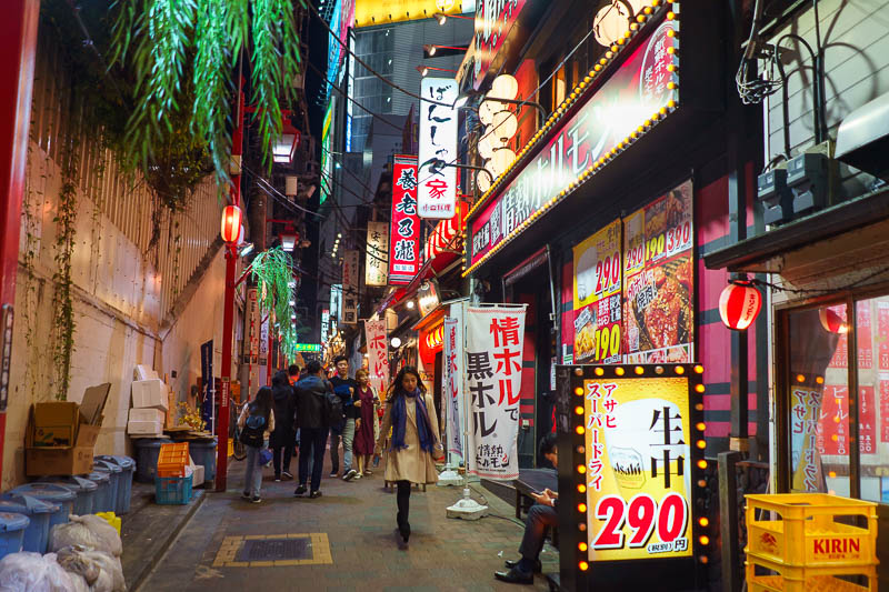 Japan-Tokyo-Food-Shinjuku - Still on the wrong side of the tracks, it was time to explore some alleyways.