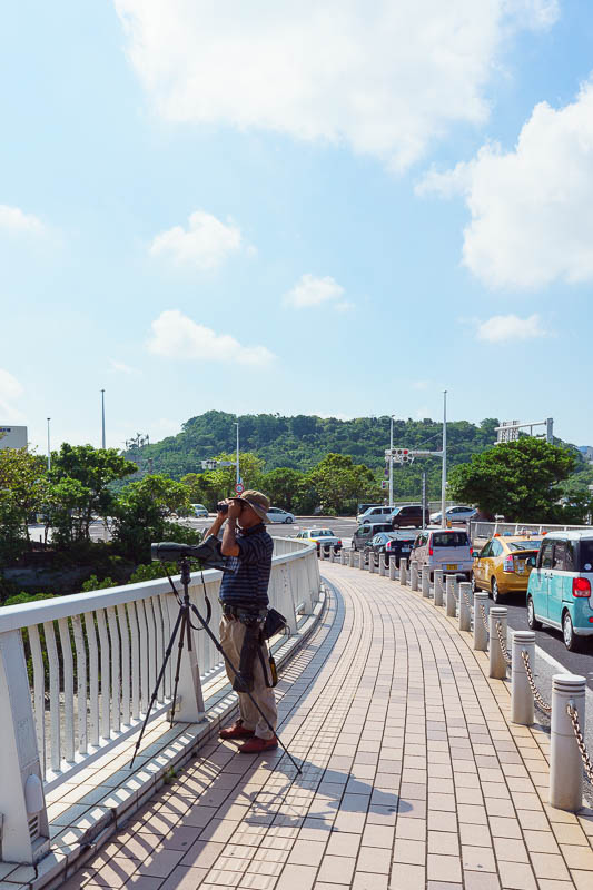Japan-Okinawa-Naha-Navy - Heres me in the near future. Staring at birds in mangroves through multiple telescopes.