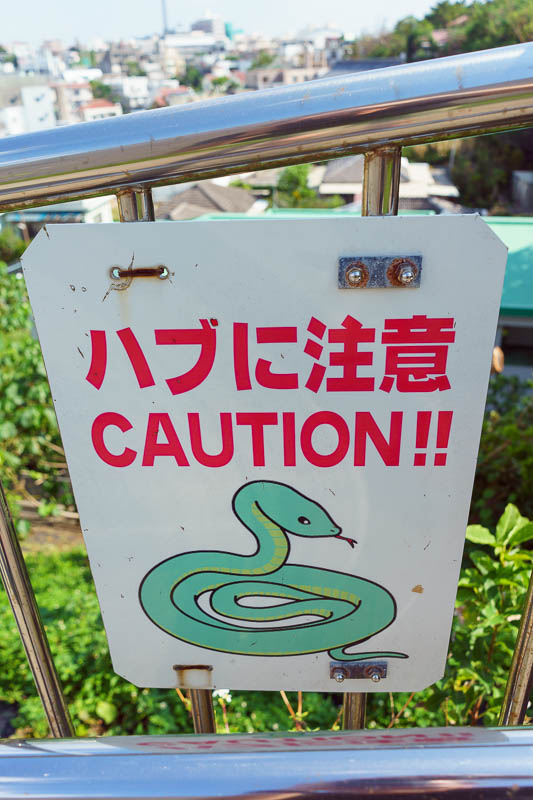Japan-Okinawa-Naha-Castle - My return journey featured many snakes.