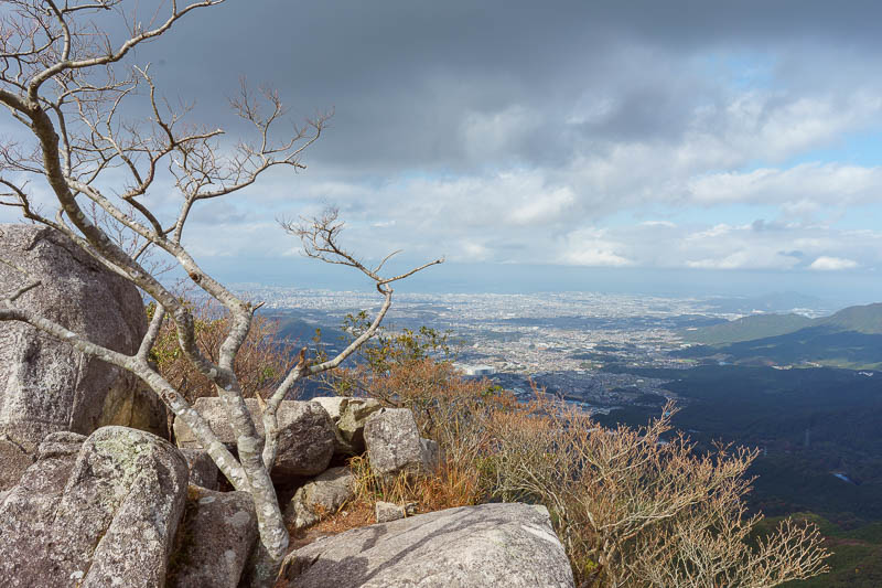 Of course I am back in Japan yet again - Oct and Nov 2018 - Last view, view with a cool tree. Well, last of the view for now. I cant make any promises there wont be more view.