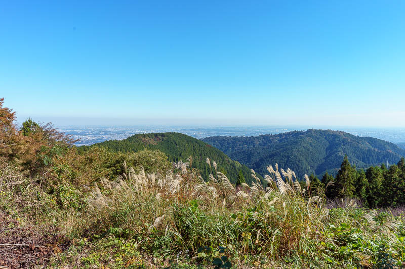 Japan-Tokyo-Hiking-Takao-Mount Jinba - A bit more view of Tokyo.