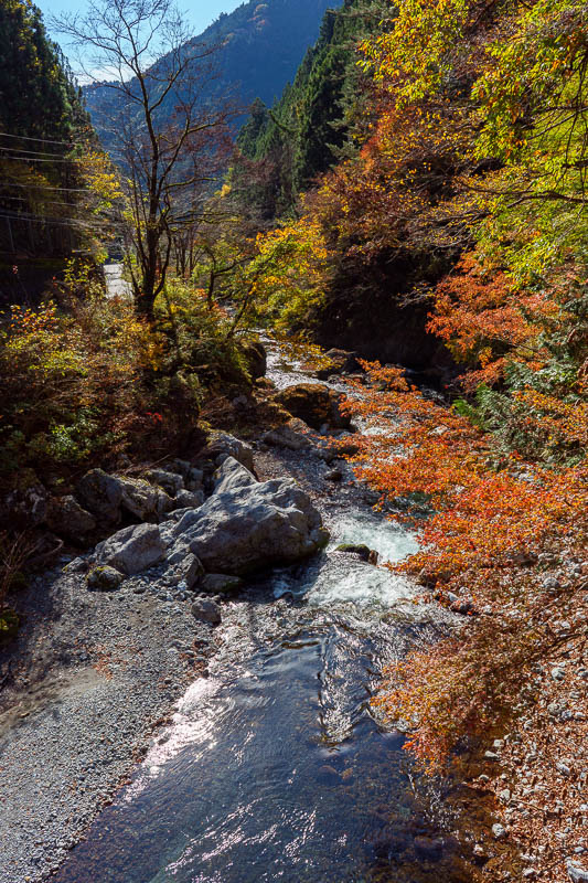 Japan-Tokyo-Hiking-Mount Kawanori - It was just that colorful. And bright. Check out the bright sun reflecting off the water.