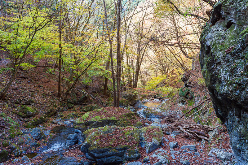 Of course I am back in Japan yet again - Oct and Nov 2018 - It started to get a bit mossy in the bits that get no sun, still looks great to me. Maybe I am easily impressed by leaves and rocks and streams and tr