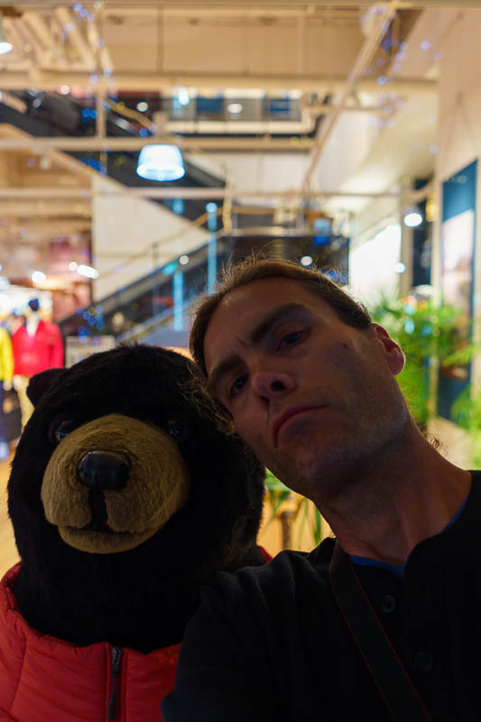 Of course I am back in Japan yet again - Oct and Nov 2018 - My new tactic, make friends with the bears!