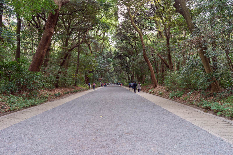 Japan-Tokyo-Yoyogi - After spending an hour or so in Shinjuku and Yoyogi not finding my lunch, I decided to stay hungry and head to Meiji Jingu. The main path is wide and 