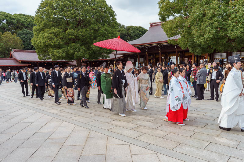 Of course I am back in Japan yet again - Oct and Nov 2018 - 'No photo!' guy was no match for my elbows. I was easily able to get to the front to gawk at these people playing fancy dress. Apparently the bride we