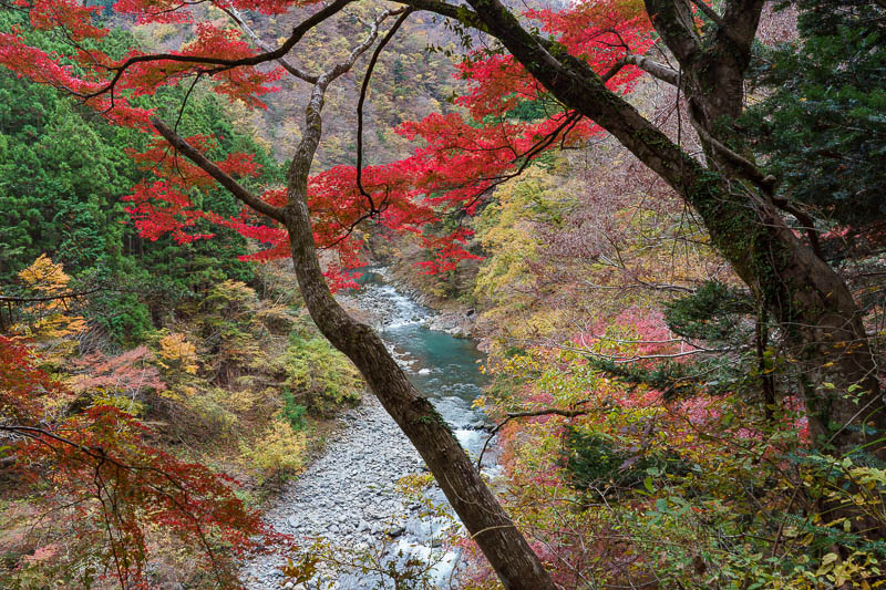 Of course I am back in Japan yet again - Oct and Nov 2018 - Yes, it really was that red. There were 2 other people with tripods taking a photo from here. I pushed in front of them.